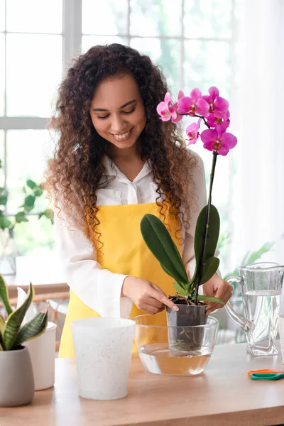 Jovem Mulher Cuidando Suas Flores Orquídea Casa — Fotografia de Stock