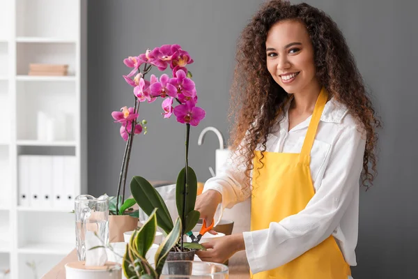 Young Woman Taking Care Her Orchid Flowers Home — Stock Photo, Image