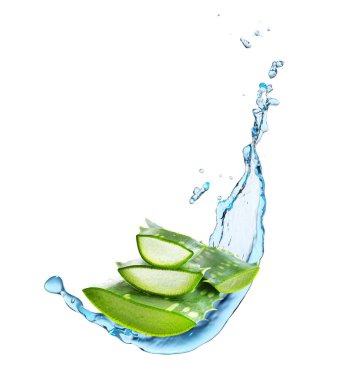 Aloe vera yapraklarını beyaz arkaplanda biraz suyla kes