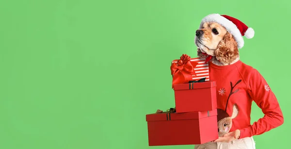 Женщина Головой Собаки Шляпе Санты Держит Рождественские Подарки Зеленом Фоне — стоковое фото