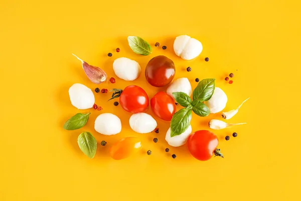 Samenstelling Met Lekkere Mozzarella Kaas Tomaten Specerijen Kleur Achtergrond — Stockfoto