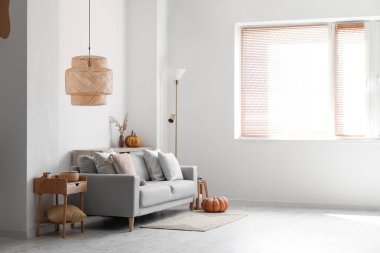 Gri kanepe ve balkabaklarıyla modern oturma odasının içi