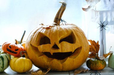 Pencere eşiğinde yaprakları, örümcekleri ve feneri olan Cadılar Bayramı balkabakları, yakın plan