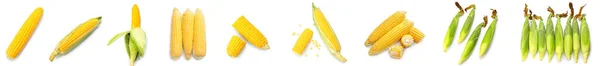 Набір Багатьох Кукурудзяних Цицьок Ізольовані Білому — стокове фото