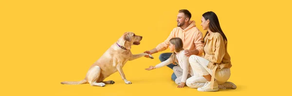 Счастливая Семья Милая Собака Лабрадор Желтом Фоне — стоковое фото