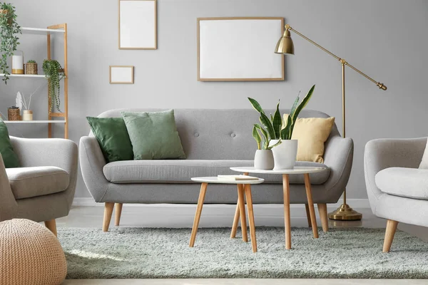 Interior Modern Living Room Houseplants Sofa Armchairs — Stock Photo, Image