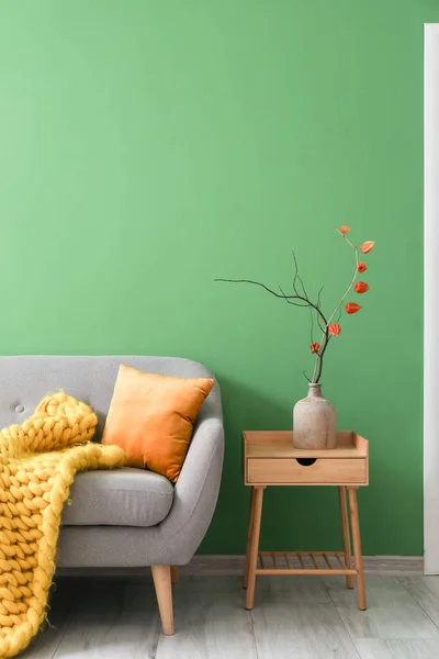 Vase Tree Branch Table Grey Sofa Green Wall — Stock Photo, Image