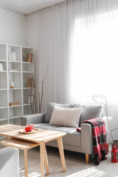 Interior Modern Living Room Grey Sofa Table Tree Branches — Stock Photo, Image