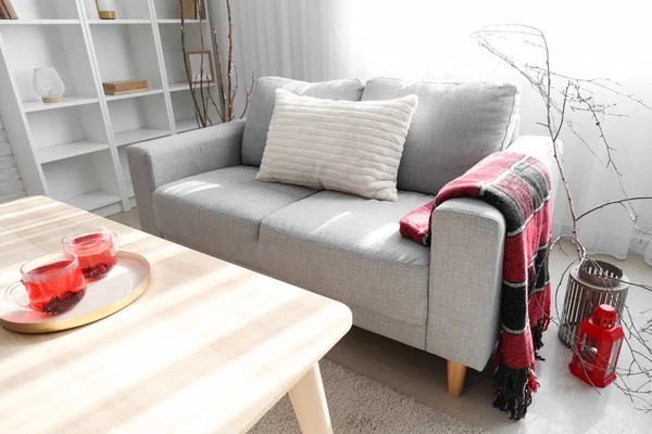 Graues Sofa Mit Karo Modernen Wohnzimmer — Stockfoto