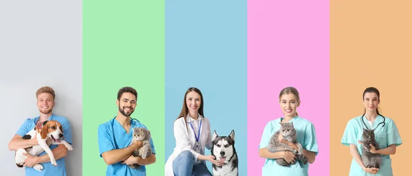Set Veterinari Con Animali Domestici Sfondo Colore — Foto Stock