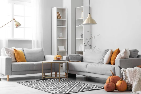 Autumn Interior Living Room Grey Sofas Pumpkins — Stock Photo, Image