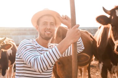 Genç erkek çiftçi dışarıda ineklerle otlakta