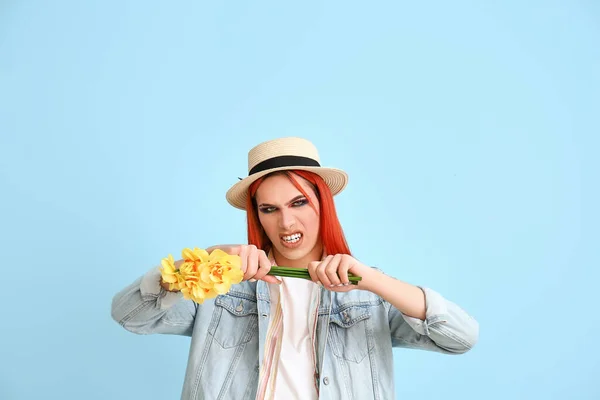 Angry Transgender Woman Bouquet Fresh Narcissus Blue Background — Stock Photo, Image