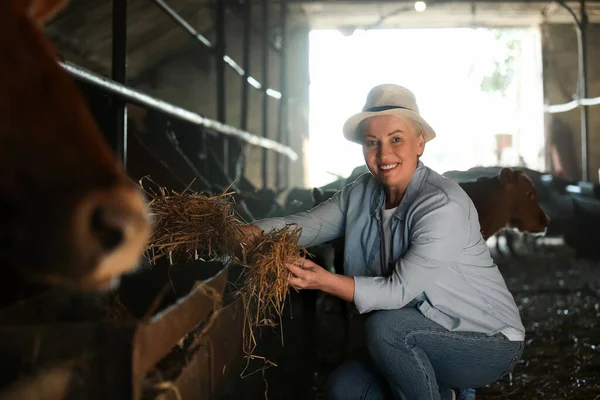 Mature Female Farmer Working Cowshed — Stock Photo, Image