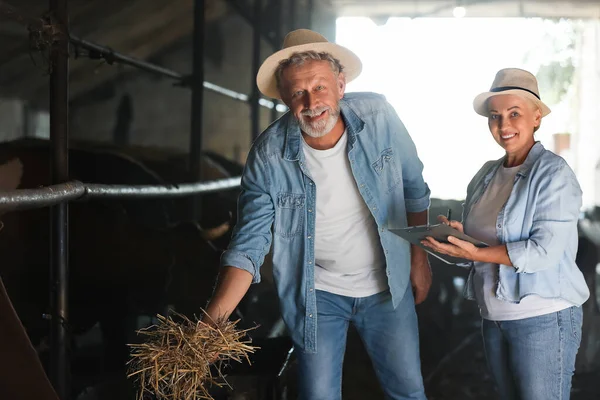 Mature Farmers Working Cowshed — Stock Photo, Image