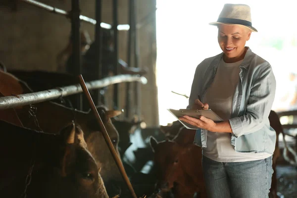 Mature Female Farmer Working Cowshed — Stock Photo, Image