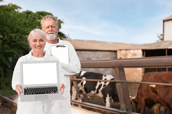 Çiftlikte Ineklerle Otlağın Yanında Dizüstü Bilgisayarı Olan Veterinerler — Stok fotoğraf