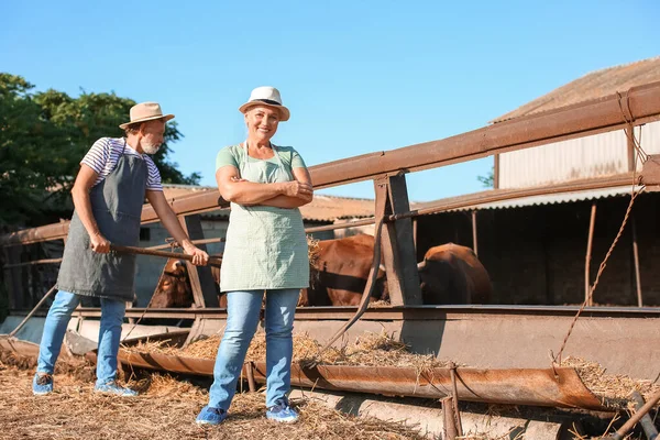 Trabalhadora Madura Perto Paddock Com Vacas Fazenda — Fotografia de Stock