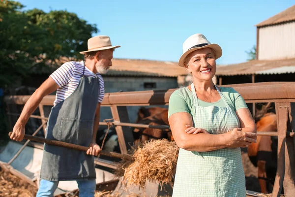 Trabalhadora Madura Perto Paddock Com Vacas Fazenda — Fotografia de Stock