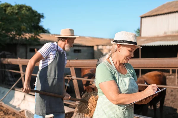 Trabajadora Madura Cerca Paddock Con Vacas Granja — Foto de Stock