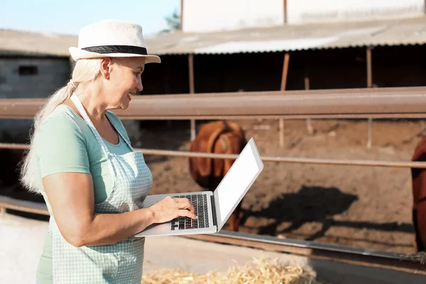 Mujer Agricultora Madura Con Portátil Cerca Paddock Con Vacas Granja — Foto de Stock