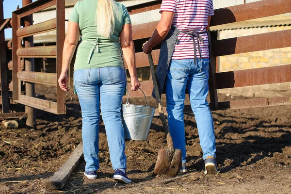 Mature Workers Paddock Farm — Stock Photo, Image