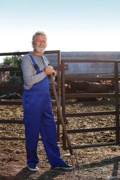 Maschio Lavoratore Maturo Vicino Paddock Azienda Agricola — Foto Stock