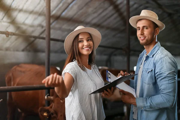 Giovani Agricoltori Che Lavorano Stalla — Foto Stock