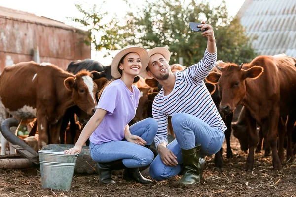 Jóvenes Agricultores Tomando Selfie Paddock Con Vacas Aire Libre — Foto de Stock