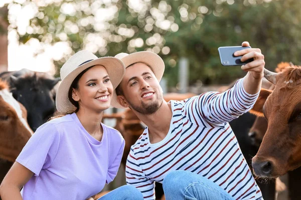 Young Farmers Taking Selfie Paddock Cows Outdoors — Stock Photo, Image