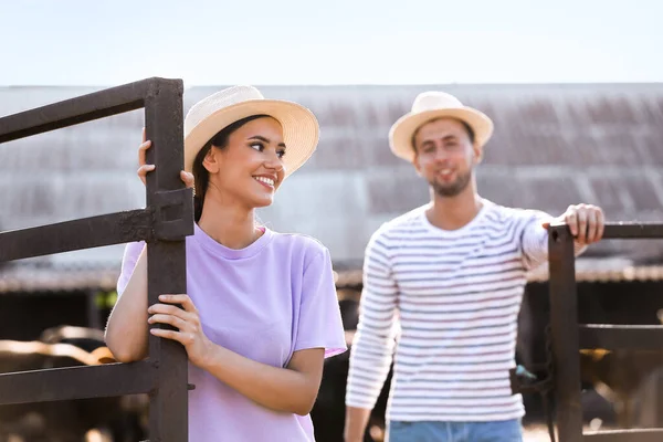 Young Workers Paddock Farm — Stock Photo, Image