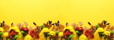 Taze kasımpatı çiçekleri ve sarı arka planda sonbahar yaprakları olan kompozisyon, üst manzara