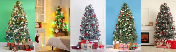 Collage Van Prachtige Kerstbomen Huiselijke Interieurs — Stockfoto