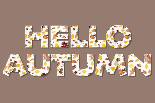 Text Hello Autumn Pozadí Barev — Stock fotografie