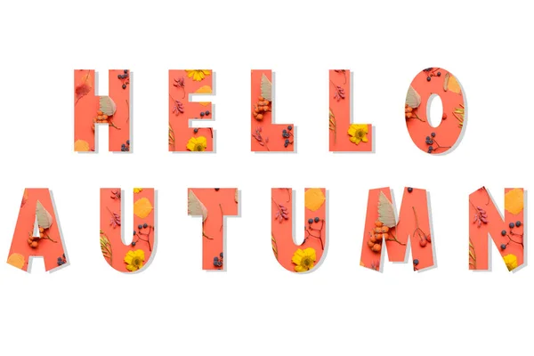 Text Hello Autumn Bílém Pozadí — Stock fotografie