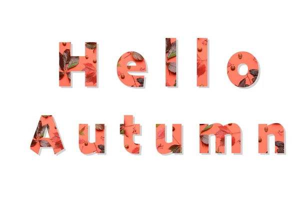 Text Hello Autumn Witte Achtergrond — Stockfoto