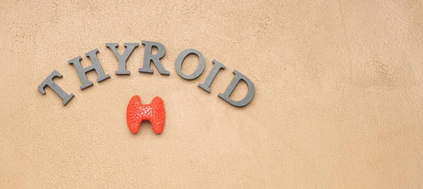 Parola Thyroid Con Modello Organo Sfondo Colori — Foto Stock