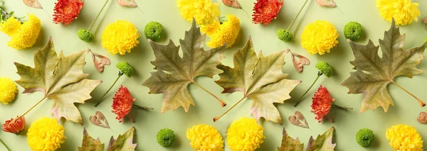 Άνθη Χρυσάνθεμα Φύλλα Σφενδάμου Και Σπόροι Πράσινο Φόντο Κορυφαία Άποψη — Φωτογραφία Αρχείου