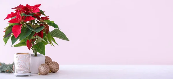 Beautiful Poinsettia Plant Pot Christmas Balls Light Pink Background Space — Stock Photo, Image