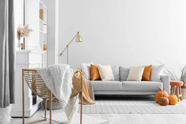 Autumn Interior Living Room Grey Sofa Lamp Pumpkins — Stock Photo, Image