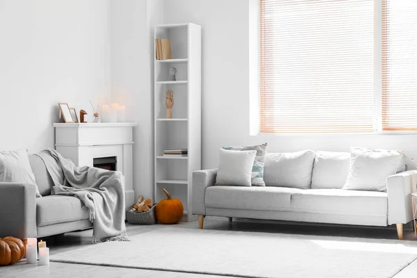 Interior Light Living Room Grey Sofas Shelving Unit Fireplace — Stock Photo, Image