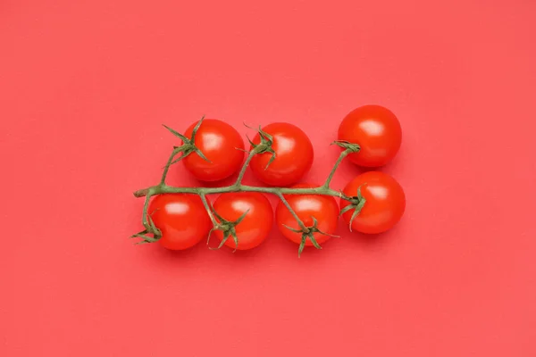 Branch Fresh Tomatoes Red Background — Stock Photo, Image