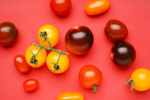 Different Fresh Tomatoes Red Background — Stock Photo, Image