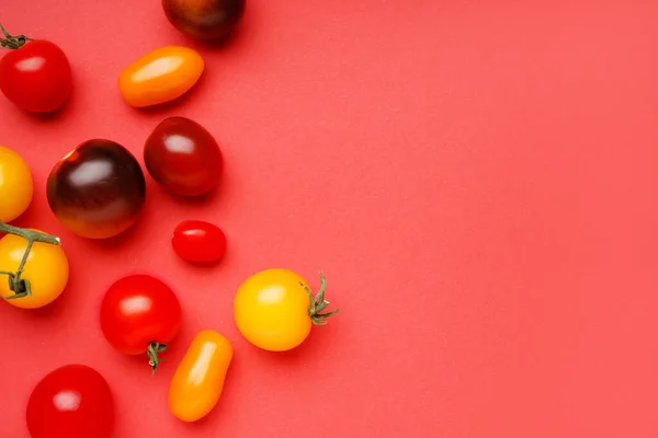 Diferentes Tomates Frescos Sobre Fondo Rojo — Foto de Stock