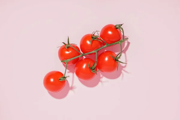 Branch Fresh Tomatoes Pink Background — Stock Photo, Image