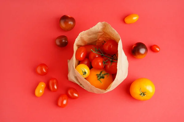 Paper bag with fresh tomatoes on color background