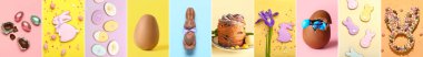 Renk arkaplanındaki geleneksel Paskalya tatlıları kolajı