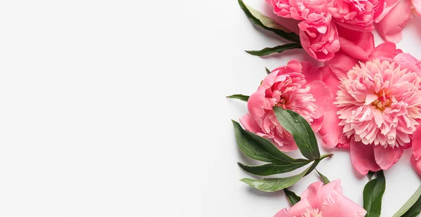 Beautiful Peony Flowers Light Background Space Text Top View — Stock Photo, Image