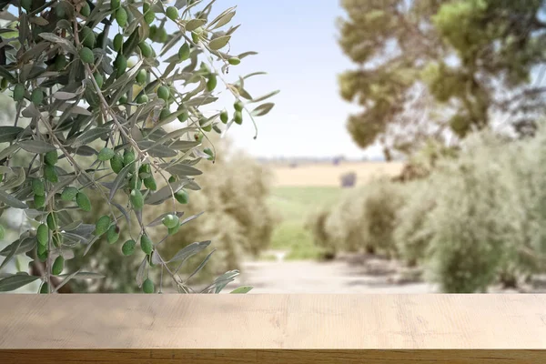 Empty Wooden Table Branches Olive Tree Garden Sunny Day — Stock Photo, Image