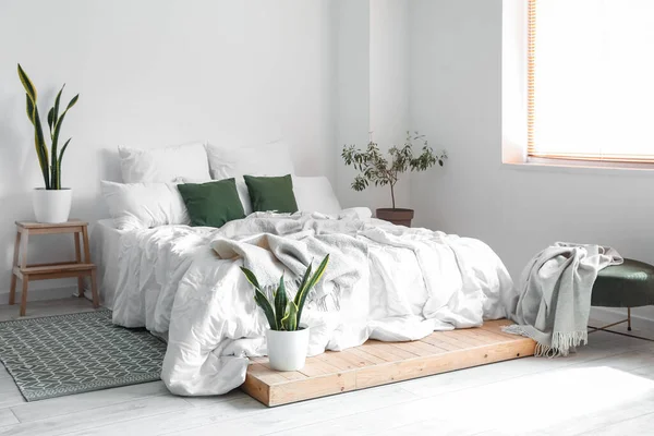 Interior Light Room Big Bed Houseplants — Stock Photo, Image